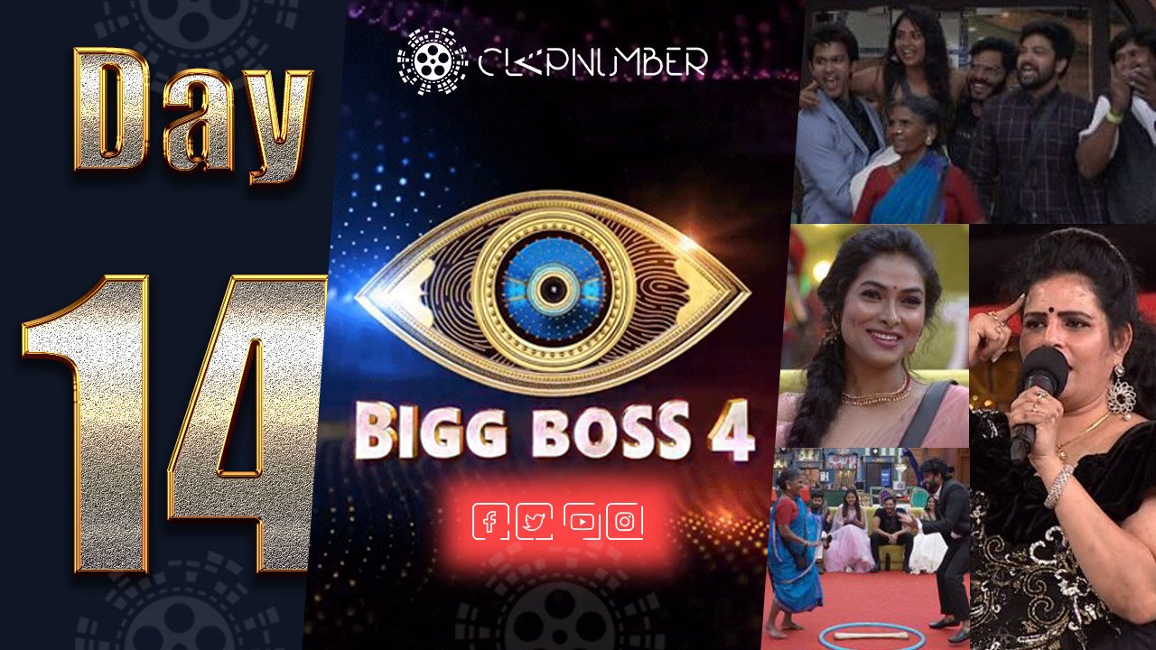 Bigg Boss 4: Day 14: Insights